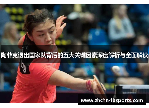 陶菲克退出国家队背后的五大关键因素深度解析与全面解读