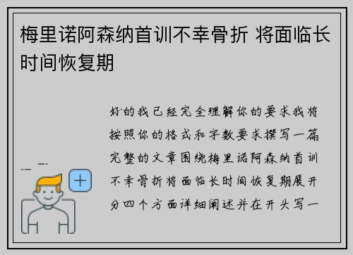 梅里诺阿森纳首训不幸骨折 将面临长时间恢复期 梅里诺阿森纳首训不幸骨折 将面临长时间恢复期
